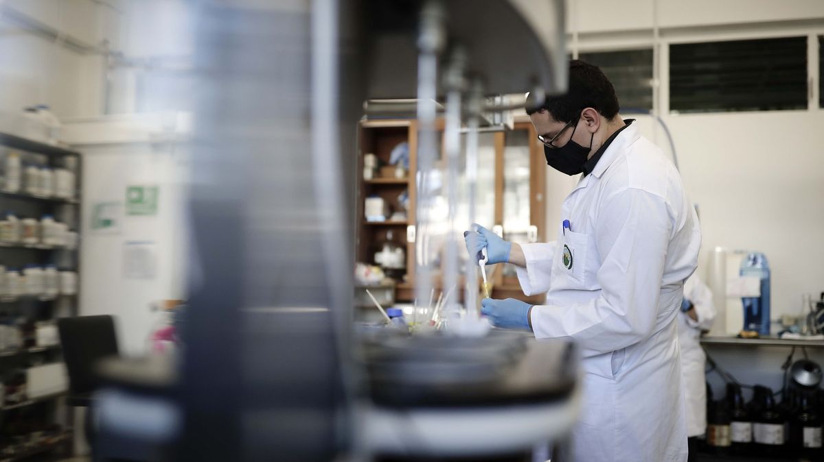 Vědci v Brně hledají cestu k novému léku na leukémii